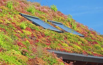 Woolfardisworthy Or Woolsery living roof systems
