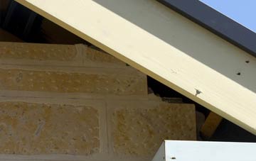 soffit repair Woolfardisworthy Or Woolsery